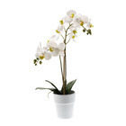 Pot de Phalaenopsis artificiel, blanc 65cm